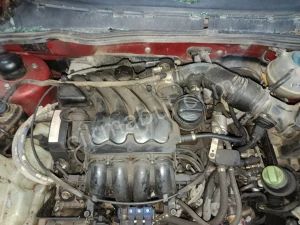 bora motor